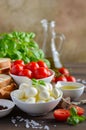 Italian food ingredients Ã¢â¬â mozzarella, tomatoes, basil and olive oil on rustic wooden table. Royalty Free Stock Photo